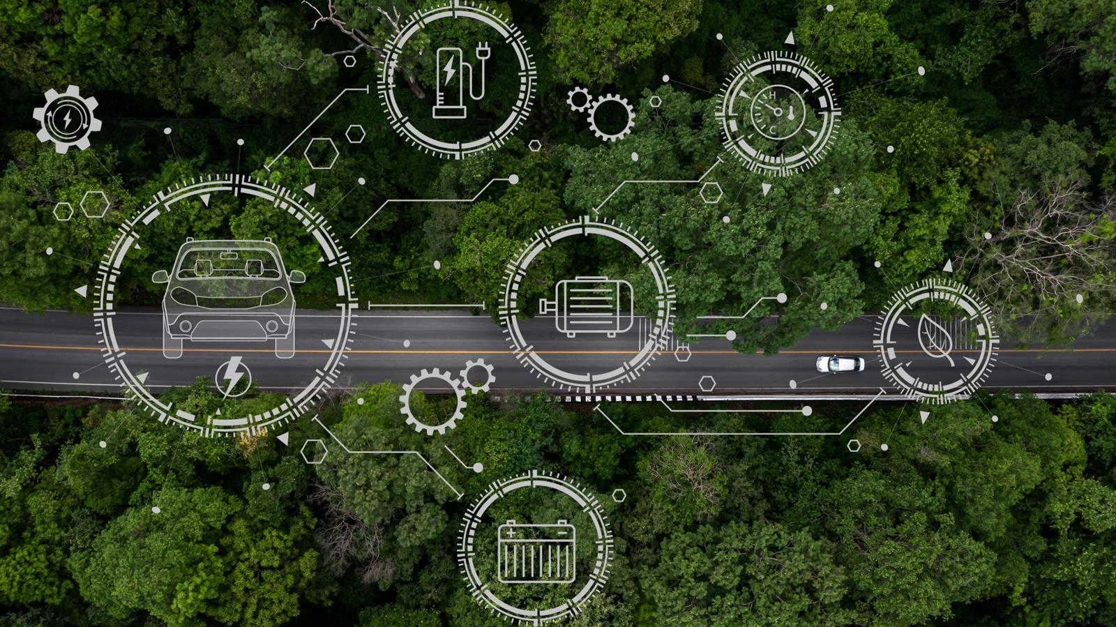 imagem vista do alto de uma floresta e com um gráfico de logística reversa.